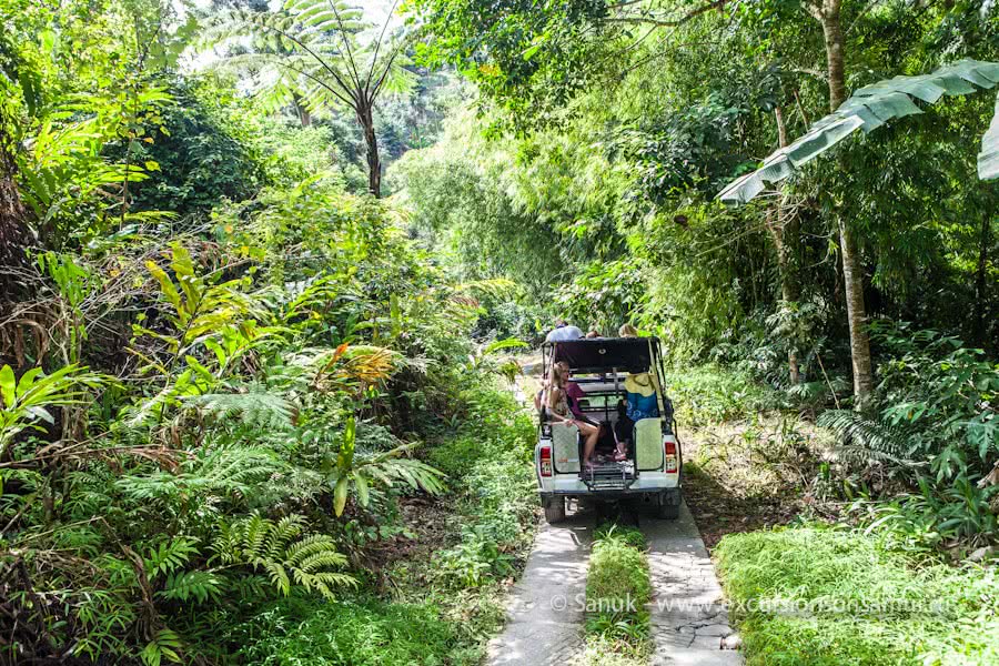 Jeep safari in koh samui