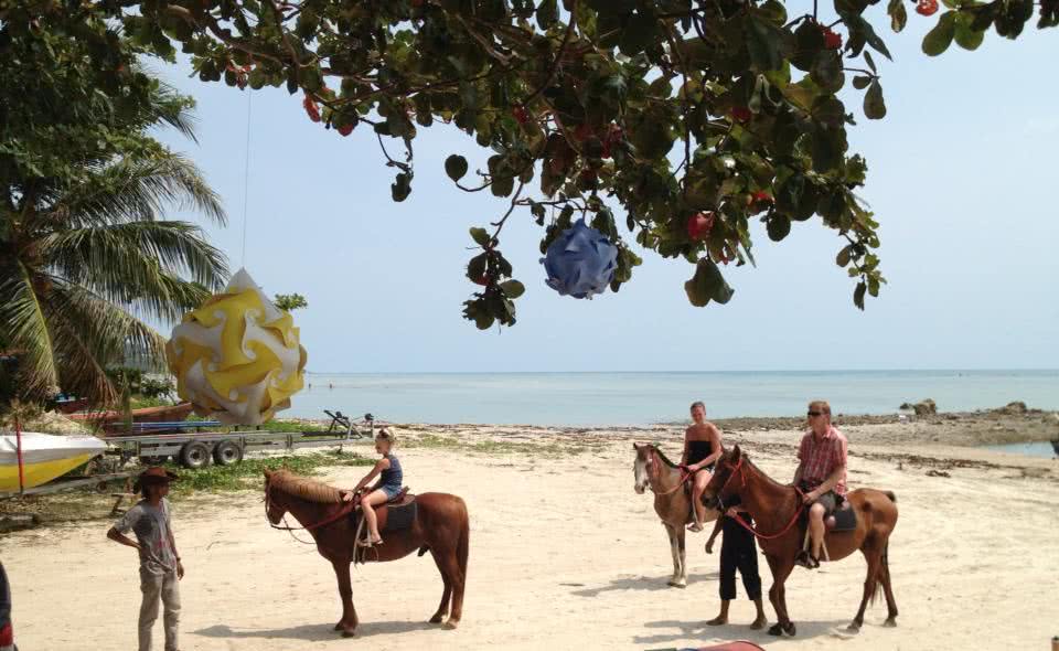 Beach and Jungle Horseback Riding, Koh Samui