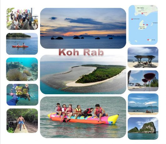 Cruise to Koh Rab, Koh Samui
