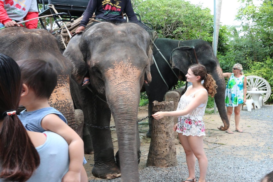 Living Thailand – tour to the family Eco-farm of elephants, Koh Samui, Thailand