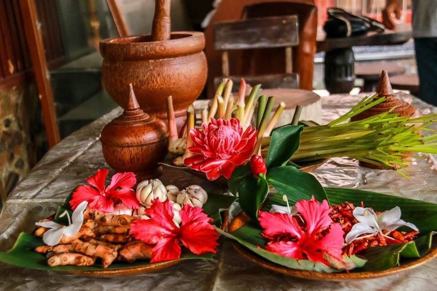 Living Thailand – tour to the family Eco-farm of elephants, Koh Samui, Thailand