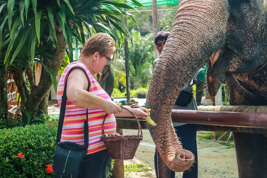 Living Thailand – tour to the family Eco-farm of elephants, Koh Samui, Thailand