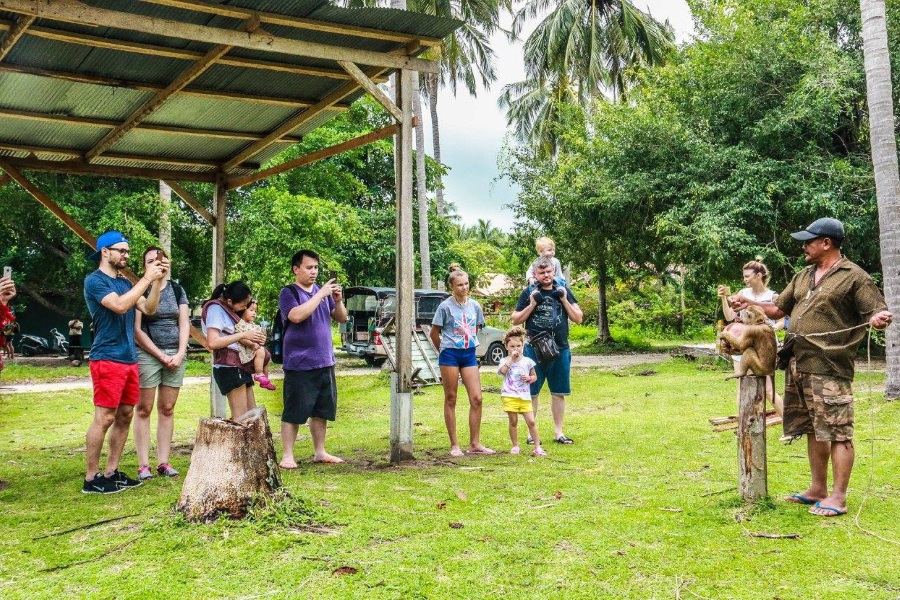 Living Thailand – tour to the family Eco-farm of elephants, Koh Samui, Thailand