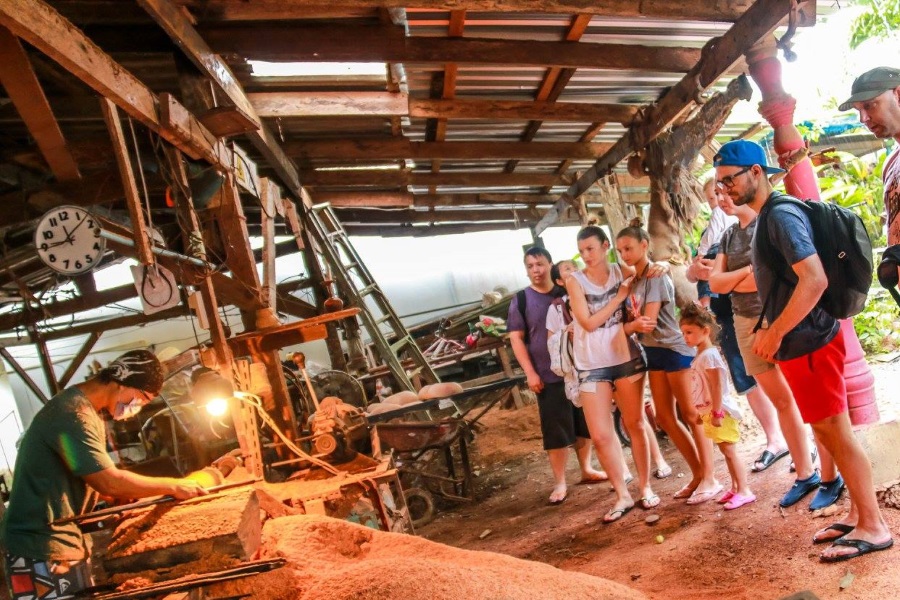 Living Thailand – tour to the family Eco-farm of elephants, Koh Samui, Thailand