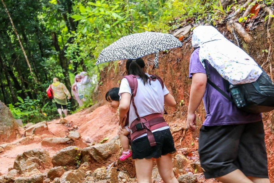Living Thailand – tour to the family Eco-farm of elephants, Koh Samui, Thailand