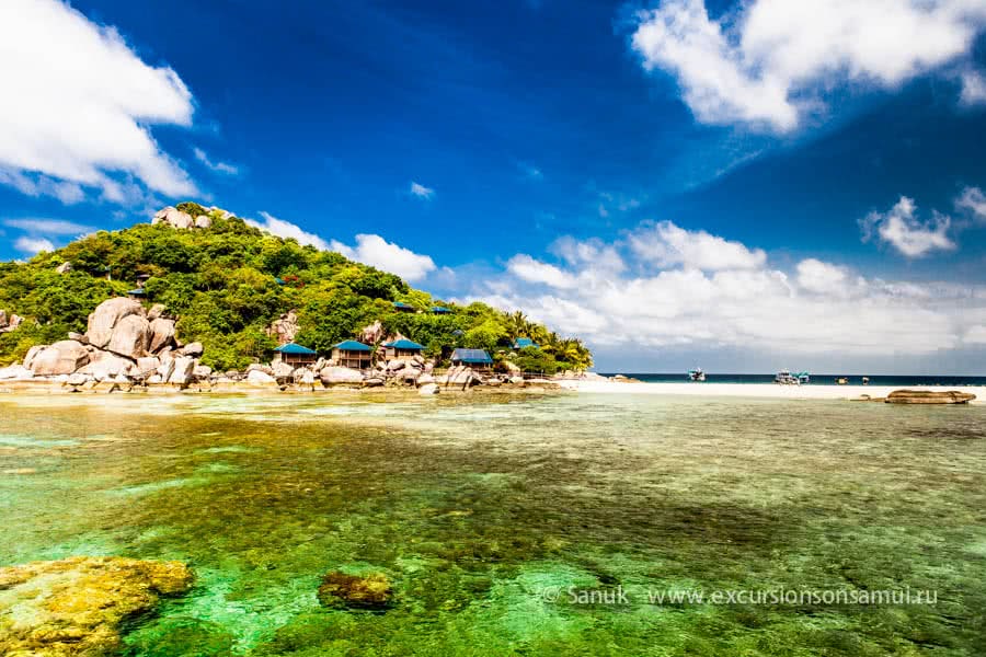 Full day speedboat tour to Koh Tao and Koh Nang Yuan from Samui and Phangan, Koh Samui, Thailand