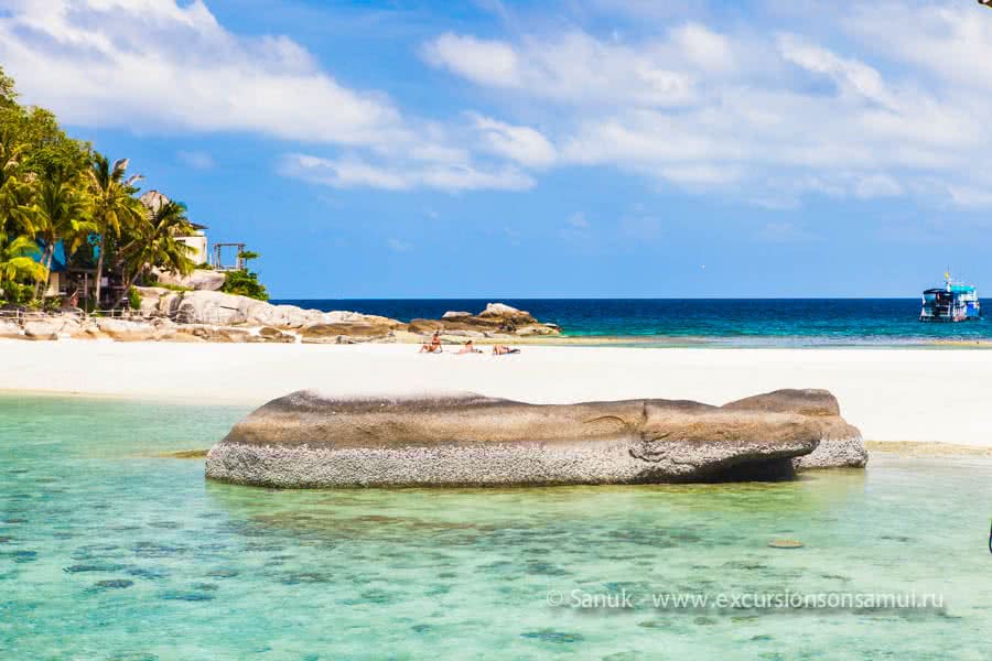 Full day speedboat tour to Koh Tao and Koh Nang Yuan from Samui and Phangan, Koh Samui, Thailand