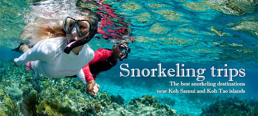 Smorkeling, Koh Samui