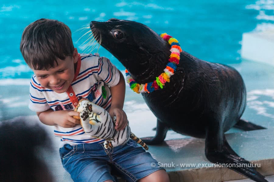 Koh Samui Aquarium and Tiger Zoo, Koh Samui, Thailand