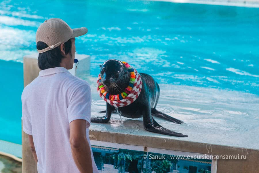 Koh Samui Aquarium and Tiger Zoo, Koh Samui, Thailand