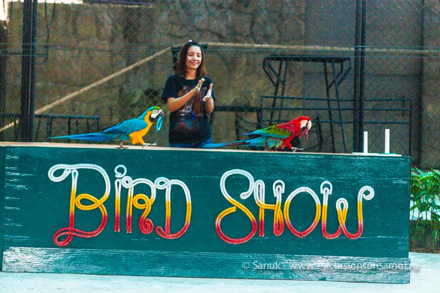 Koh Samui Aquarium and Tiger Zoo, Koh Samui, Thailand