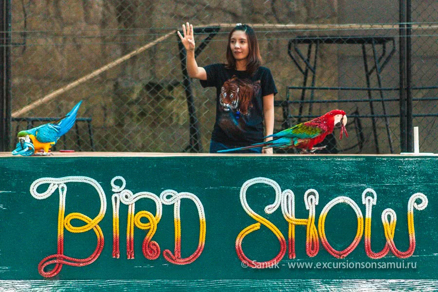 Koh Samui Aquarium and Tiger Zoo, Koh Samui, Thailand
