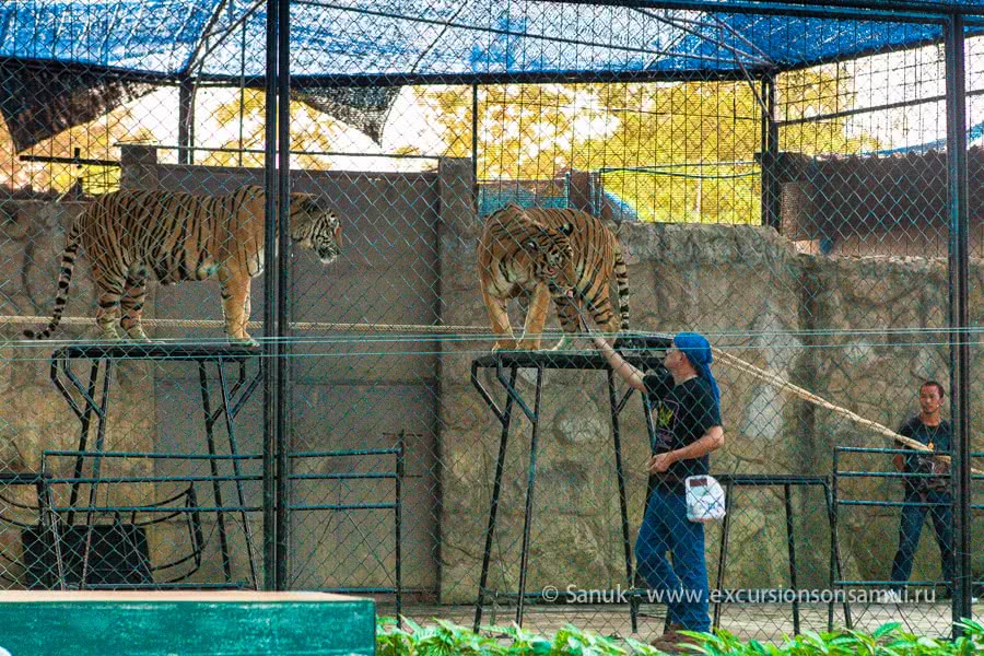 Koh Samui Aquarium and Tiger Zoo, Koh Samui, Thailand