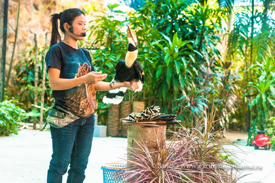 Koh Samui Aquarium and Tiger Zoo, Koh Samui, Thailand