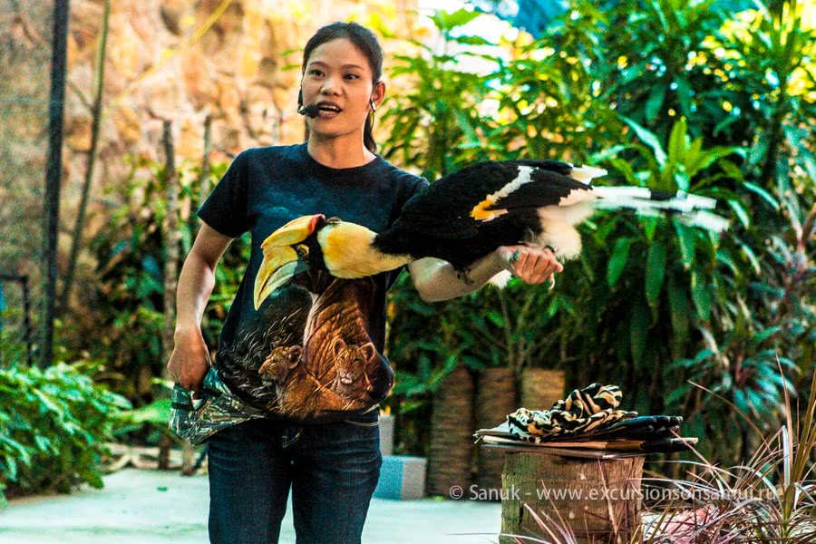 Koh Samui Aquarium and Tiger Zoo, Koh Samui, Thailand