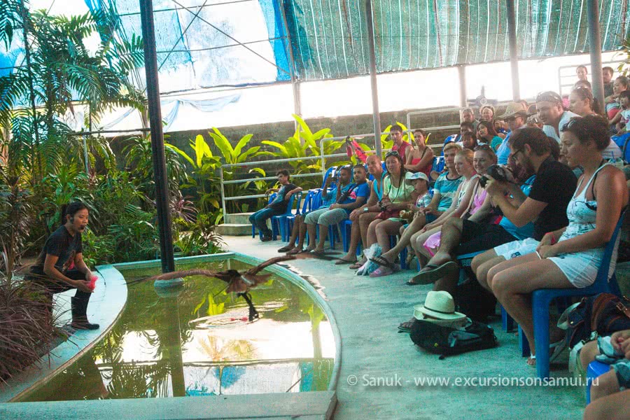Koh Samui Aquarium and Tiger Zoo, Koh Samui, Thailand