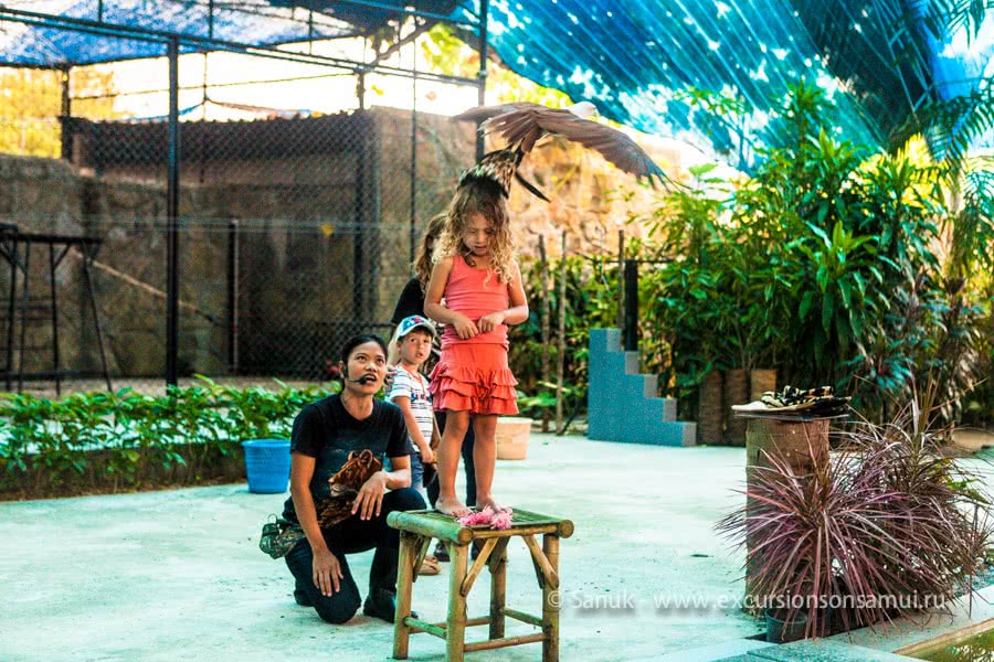 Koh Samui Aquarium and Tiger Zoo, Koh Samui, Thailand