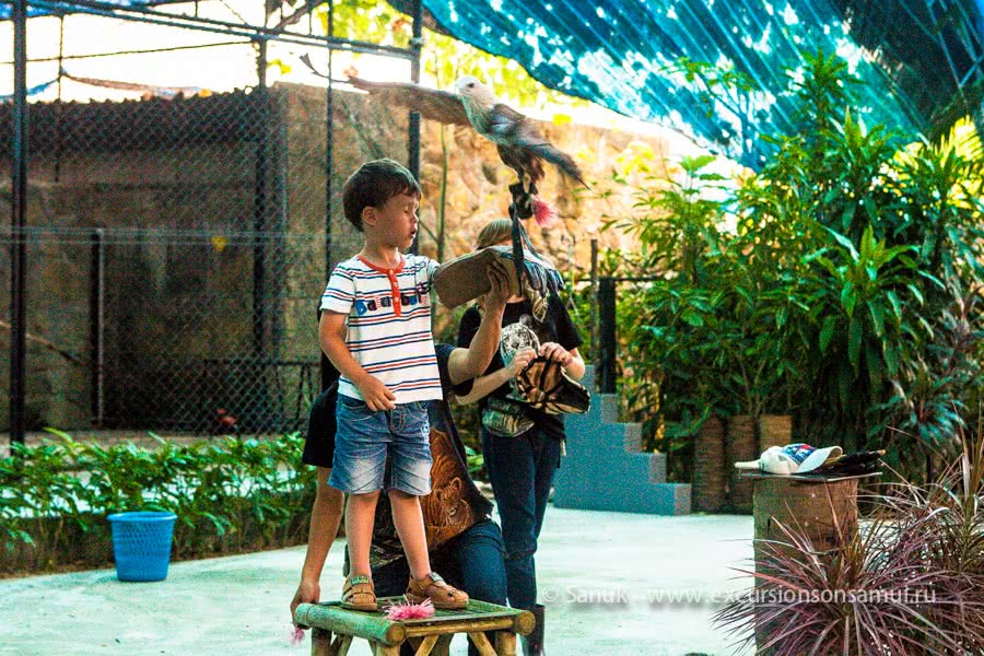 Koh Samui Aquarium and Tiger Zoo, Koh Samui, Thailand
