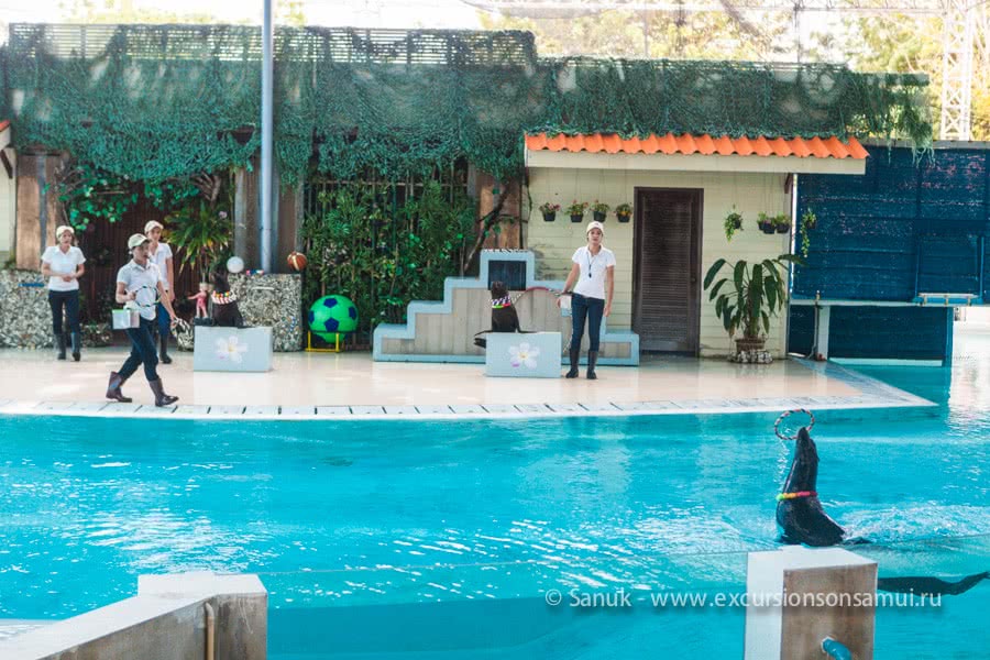 Koh Samui Aquarium and Tiger Zoo, Koh Samui, Thailand