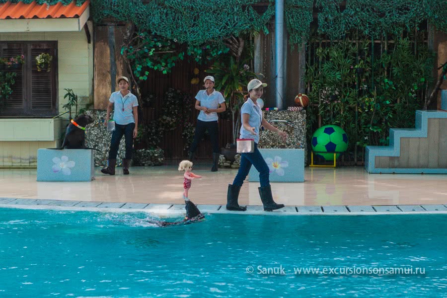 Koh Samui Aquarium and Tiger Zoo, Koh Samui, Thailand