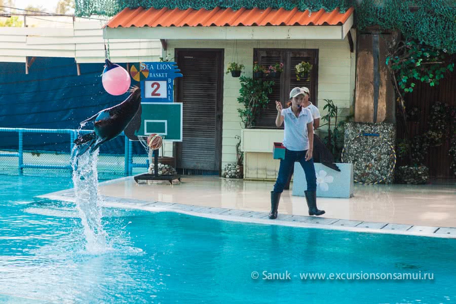 Koh Samui Aquarium and Tiger Zoo, Koh Samui, Thailand