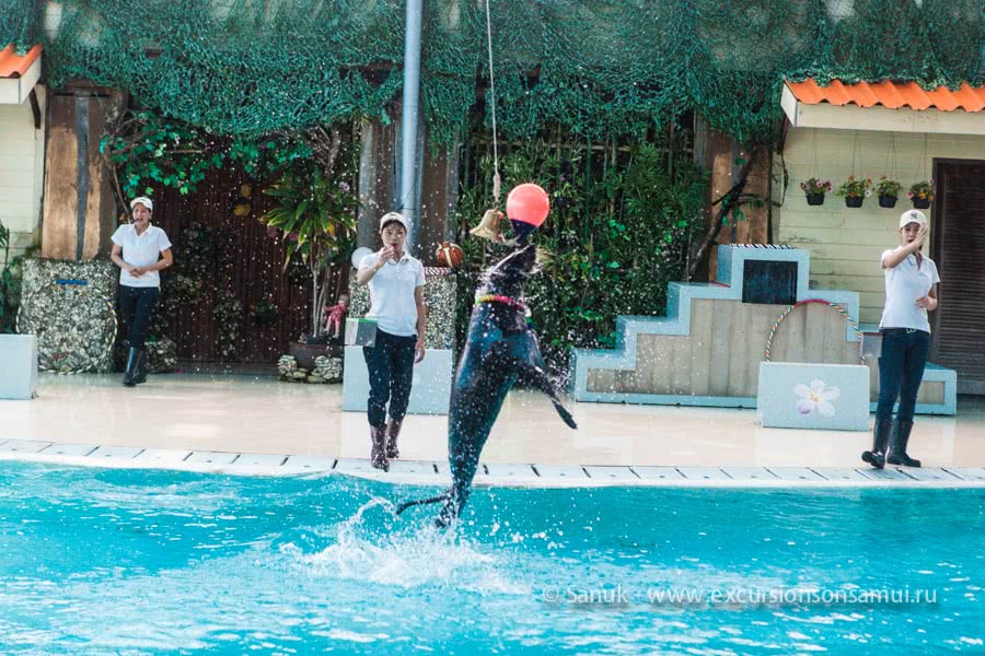Koh Samui Aquarium and Tiger Zoo, Koh Samui, Thailand