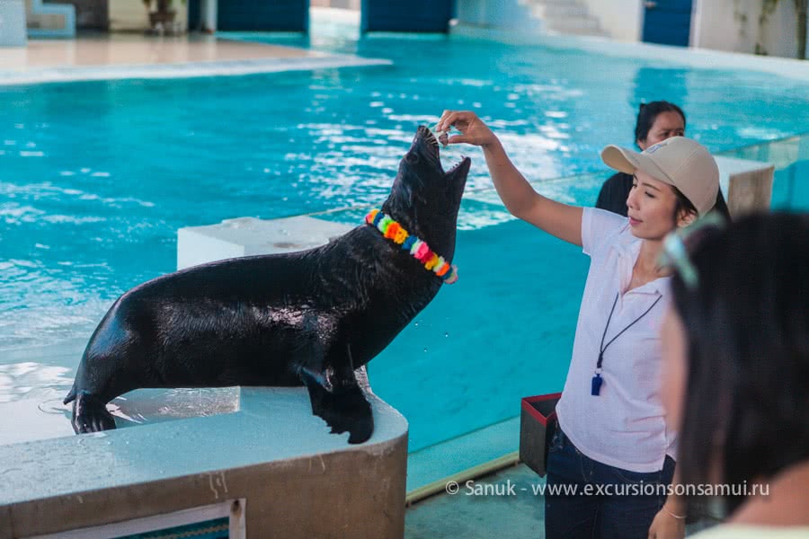 Koh Samui Aquarium and Tiger Zoo, Koh Samui, Thailand