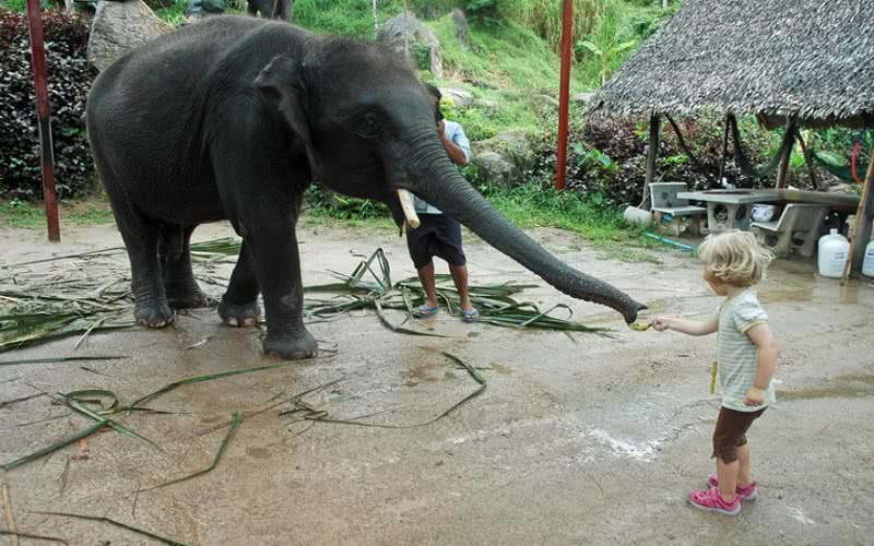 Authentic local experience at Koh Phangan, Koh Samui, Thailand