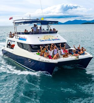 Calypso diving samui