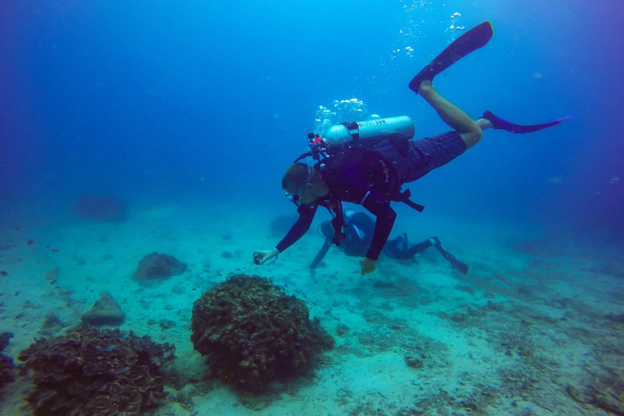 Diving and snorkeling by catamaran, Koh Samui, Thailand