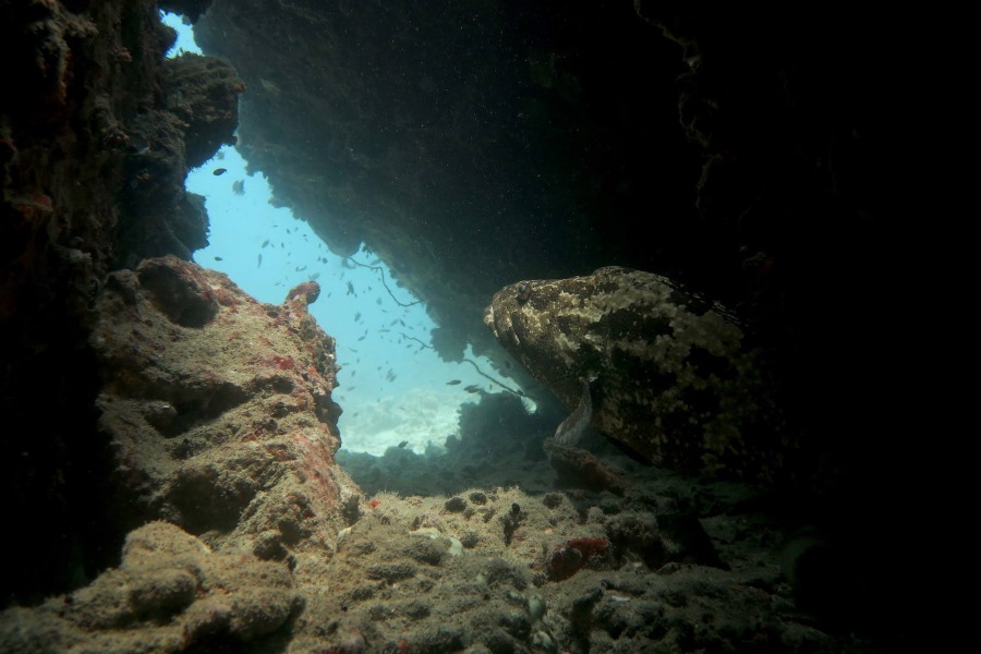 Diving and snorkeling by catamaran, Koh Samui, Thailand