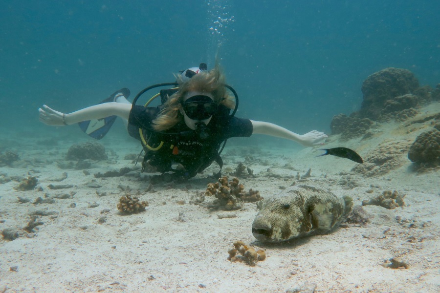 Diving and snorkeling by catamaran, Koh Samui, Thailand