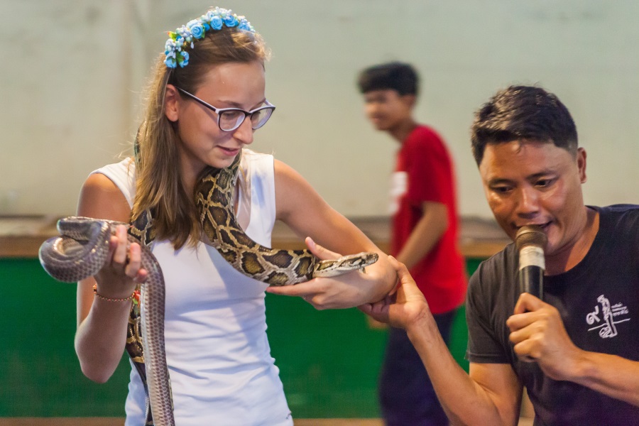 Crocodile show, Koh Samui, Thailand