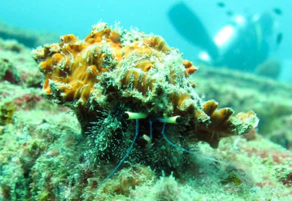 VIP tour to Angthong Marine Park, Koh Samui, Thailand