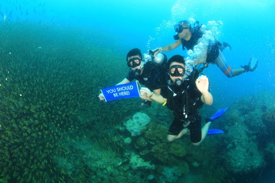 Diving tours on Big boat, Koh Samui, Thailand