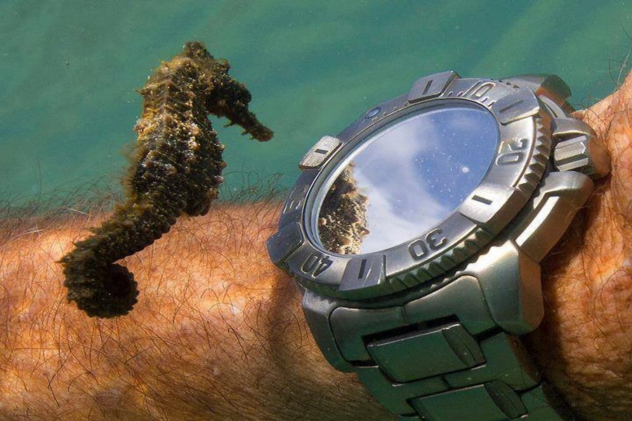 Diving tours on Big boat, Koh Samui, Thailand