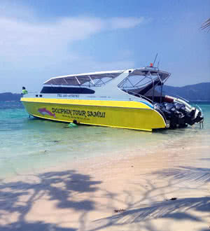 Pink dolphin tour, Koh Samui