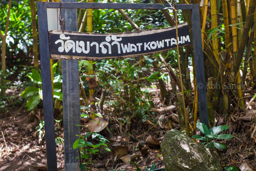 Eco-nature half day safari at Koh Phangan, Koh Samui, Thailand