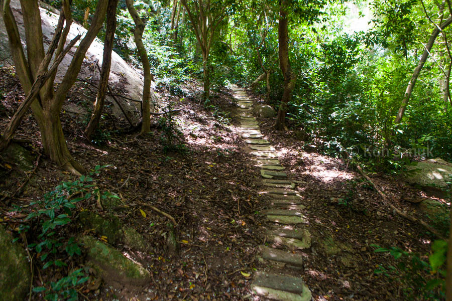 Eco-nature full day safari at Koh Phangan, Koh Samui, Thailand