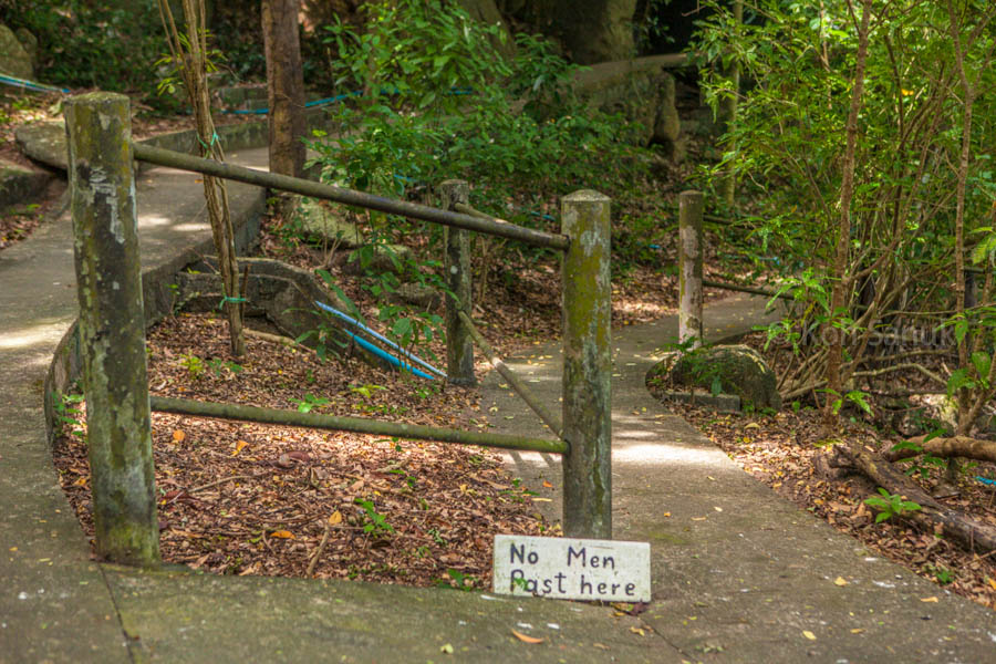 Eco-nature half day safari at Koh Phangan, Koh Samui, Thailand