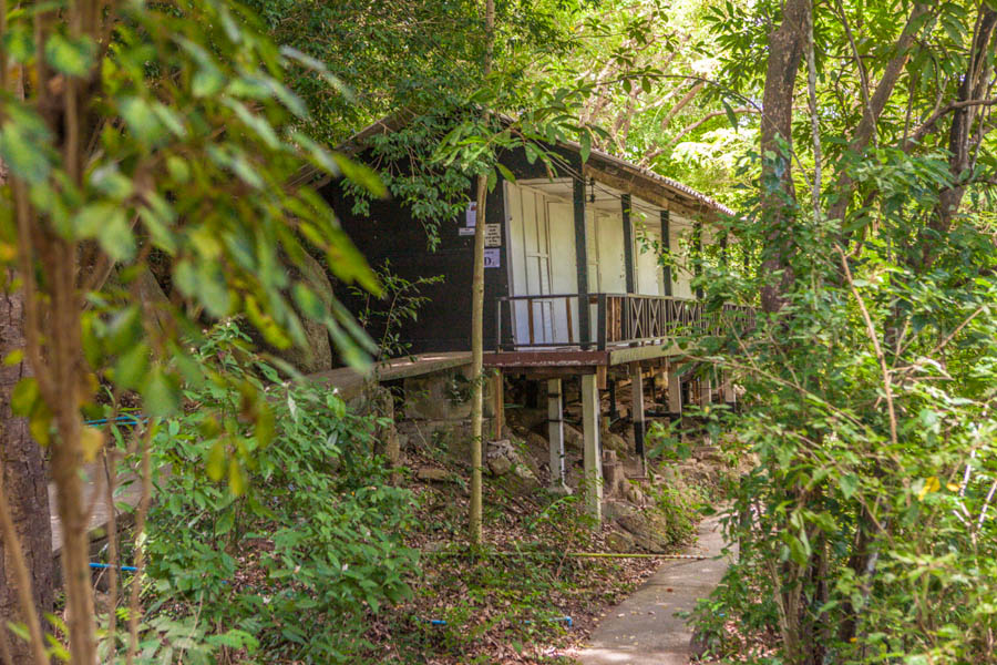 Eco-nature half day safari at Koh Phangan, Koh Samui, Thailand