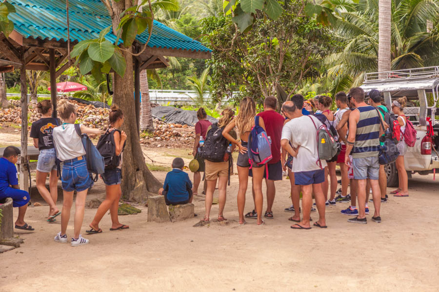 Eco-nature half day safari at Koh Phangan, Koh Samui, Thailand