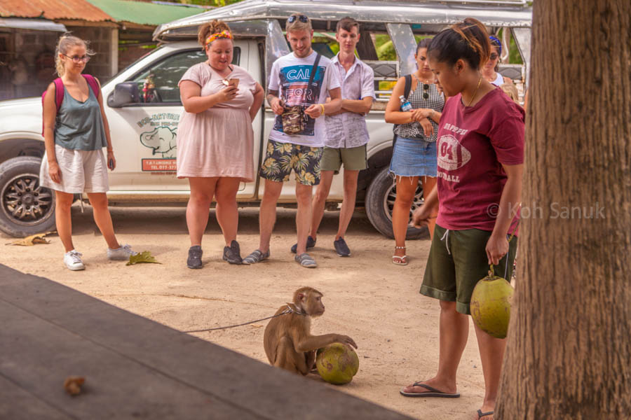 Eco-nature half day safari at Koh Phangan, Koh Samui, Thailand