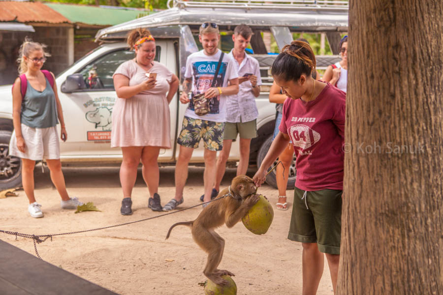 Eco-nature full day safari at Koh Phangan, Koh Samui, Thailand