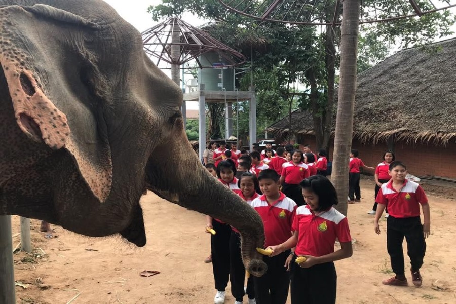 Samui Elephant Sanctuary, Koh Samui, Thailand