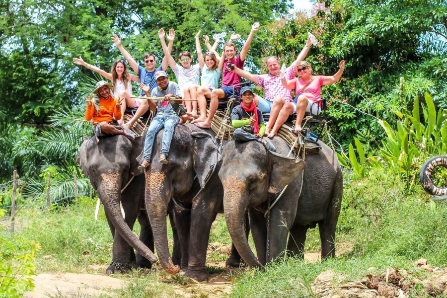 Elephant trekking, Koh Samui, Thailand