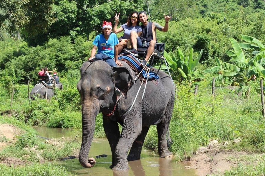 Elephant trekking, Koh Samui, Thailand