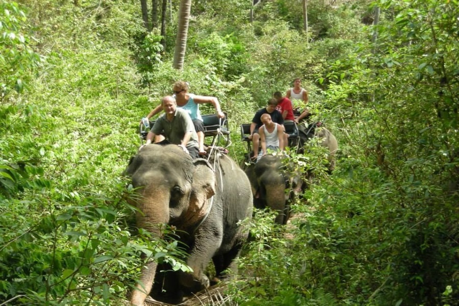 Elephant trekking, Koh Samui, Thailand