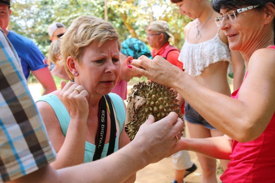 Elephant trekking, Koh Samui, Thailand