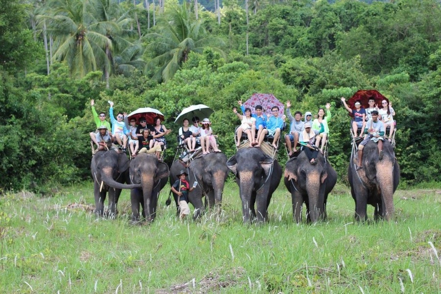 Elephant trekking, Koh Samui, Thailand